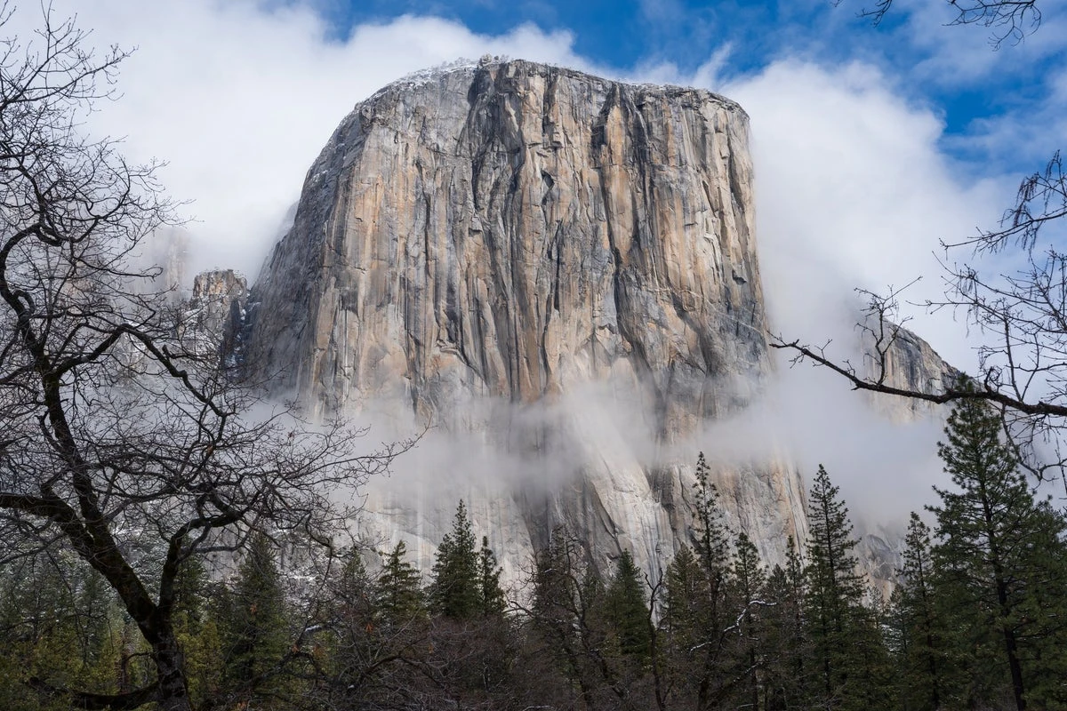 TikTok climbing star dies after falling from Yosemite’s El Capitan