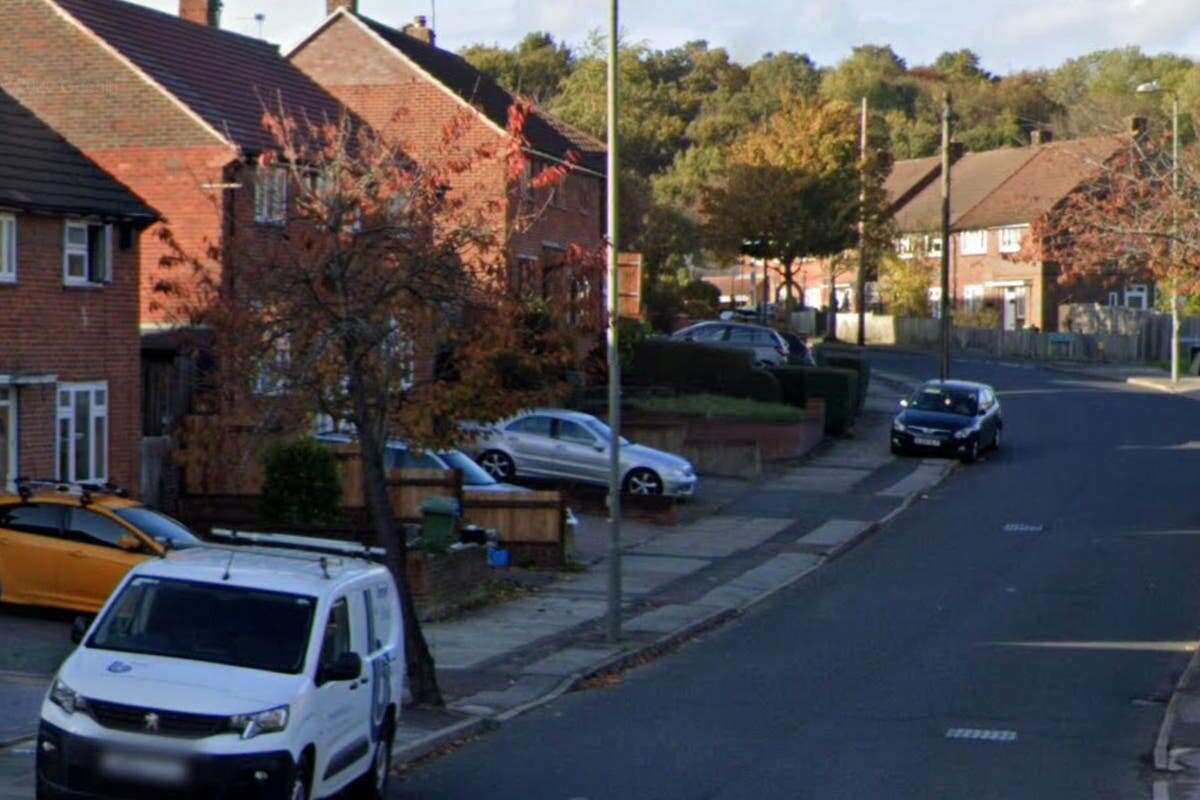 Two children rushed to hospital after being attacked by four dogs