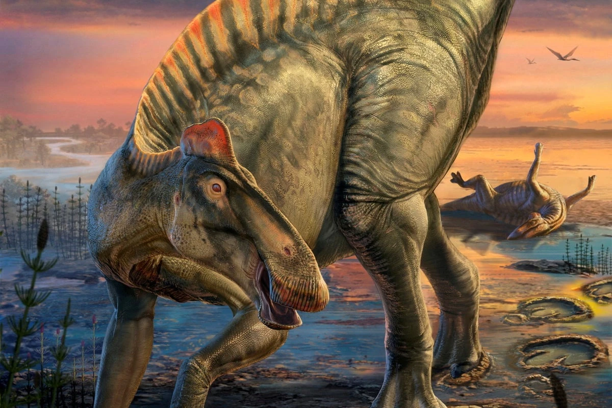 Dinosaur ‘mummies’ found in Wyoming still have skin, say researchers