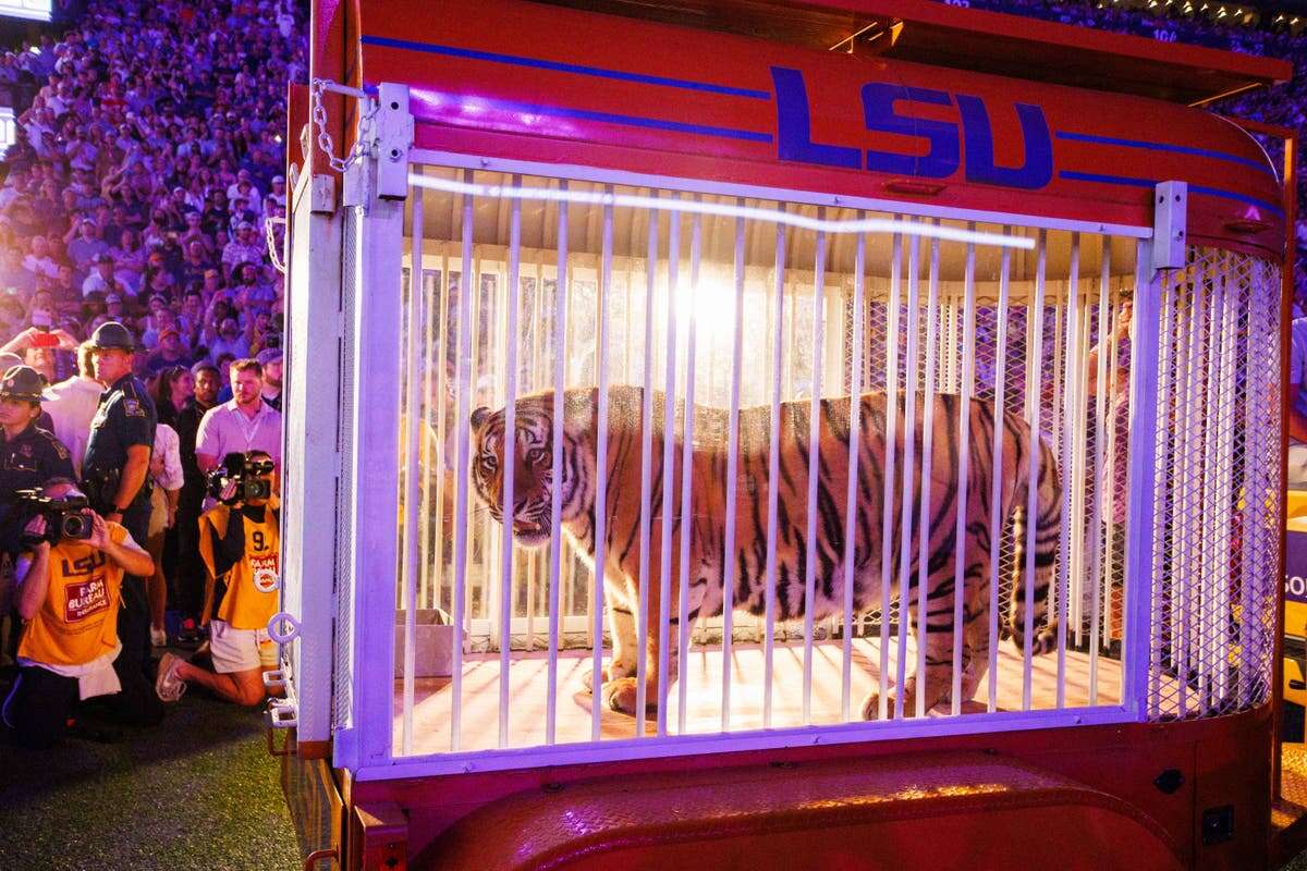 LSU student accused of threat to kill governor over live tiger at game