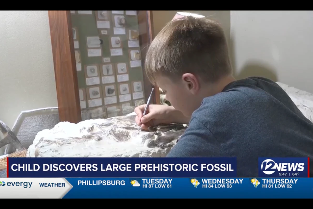 Boy, 12, finds 80-million-year-old fossil on a 4H trip