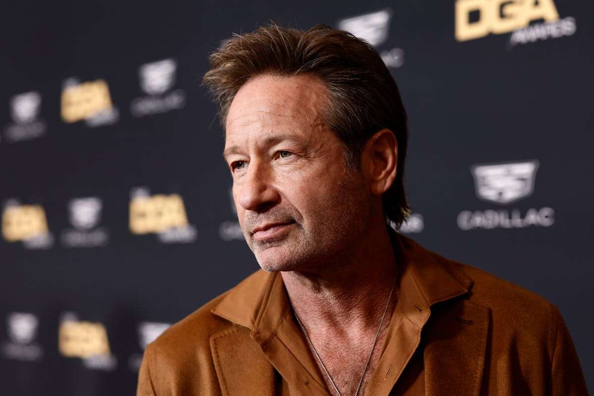 David Duchovny says he auditioned for Full House all male lead roles