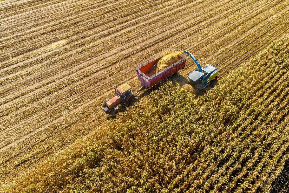 Trump to unveil farm bailout after tariff war hits US exports to China