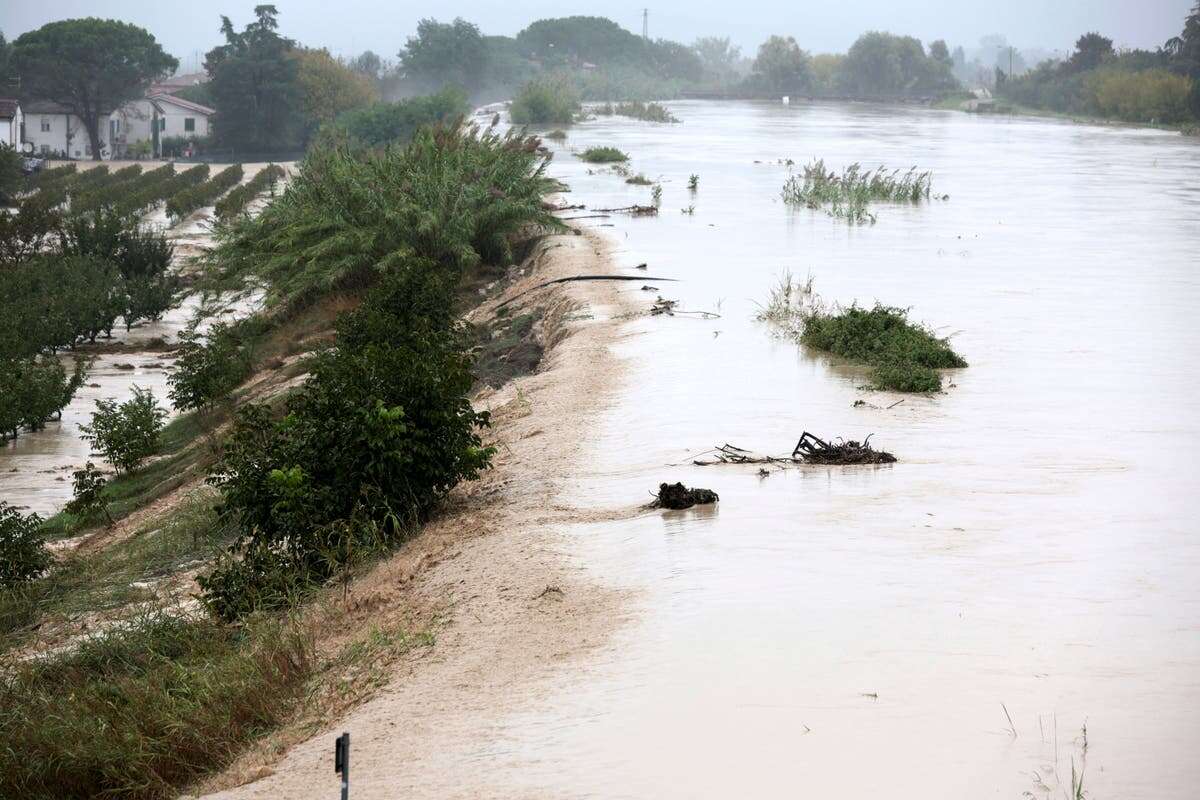 Live: Mammoth clean-up underway in Italy after floods