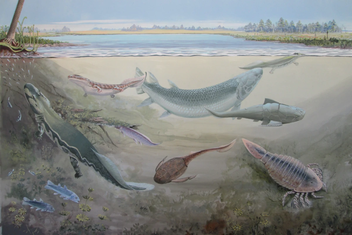Prehistoric fish discovery rewrites history of tooth evolution