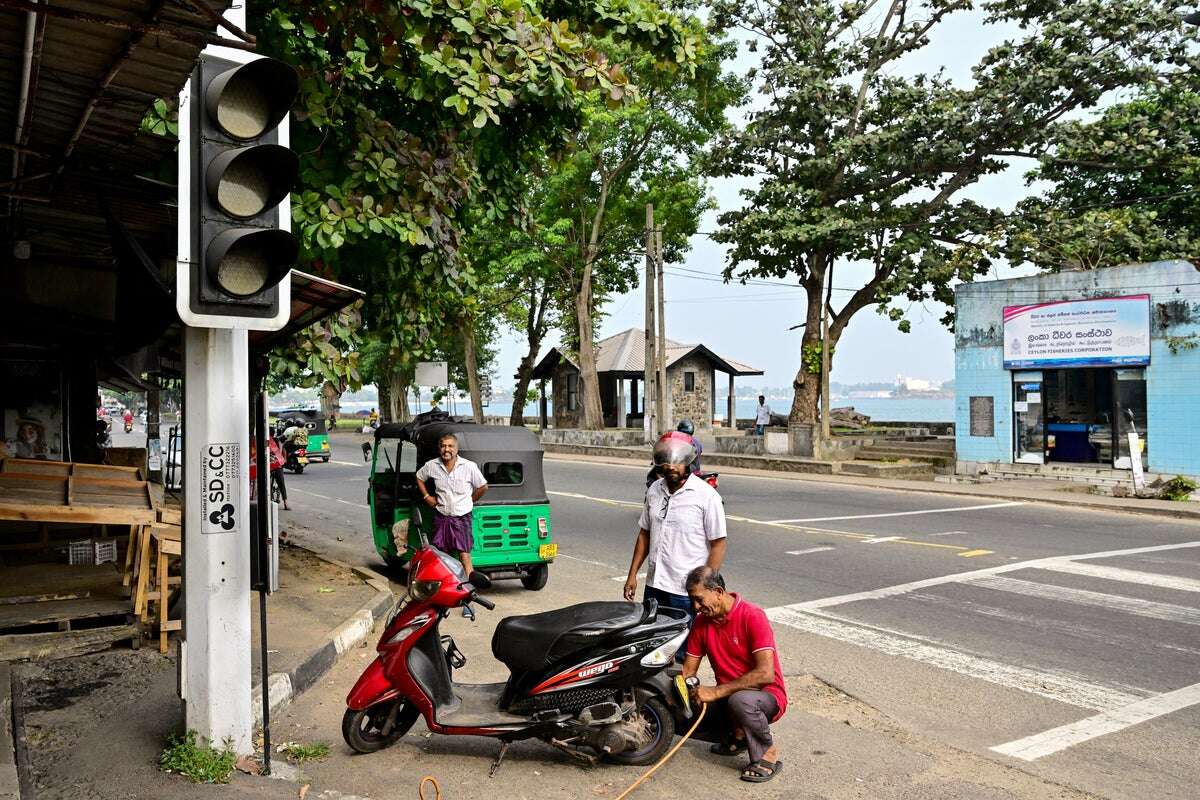 Monkey blamed for power cut that took an entire country offline