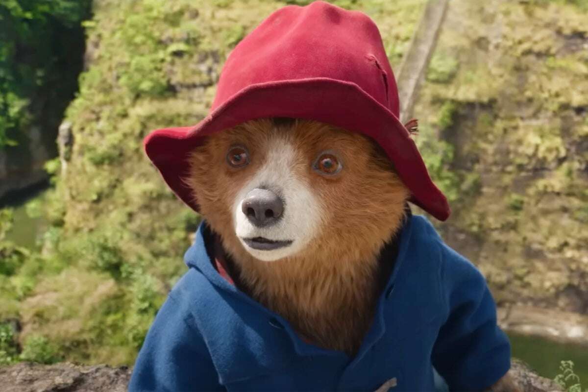 Small boats crackdown ‘would deny Paddington Bear refuge in the UK’