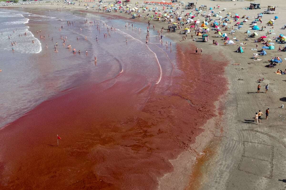 This discovery could help predict harmful and costly red tide blooms