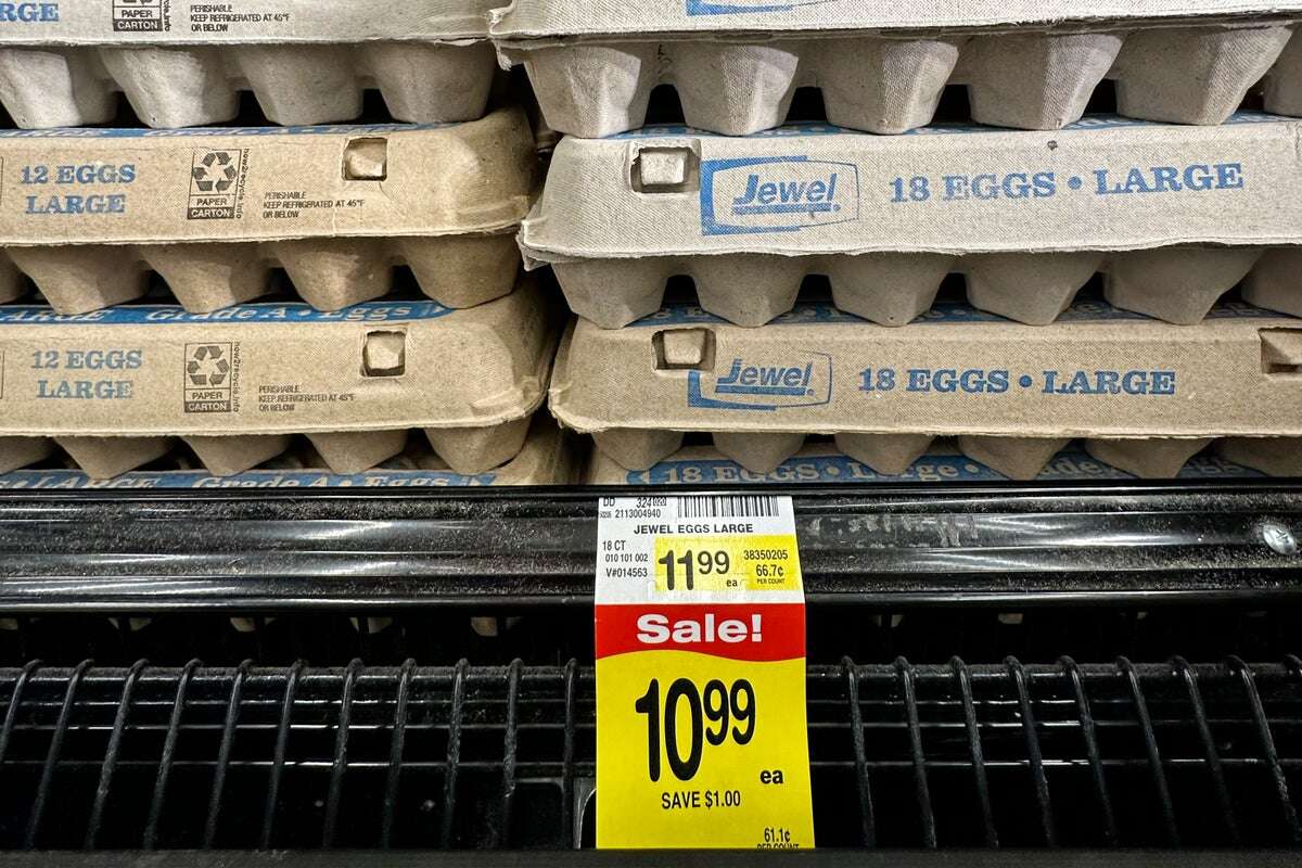 Justice Department is now investigating soaring egg prices