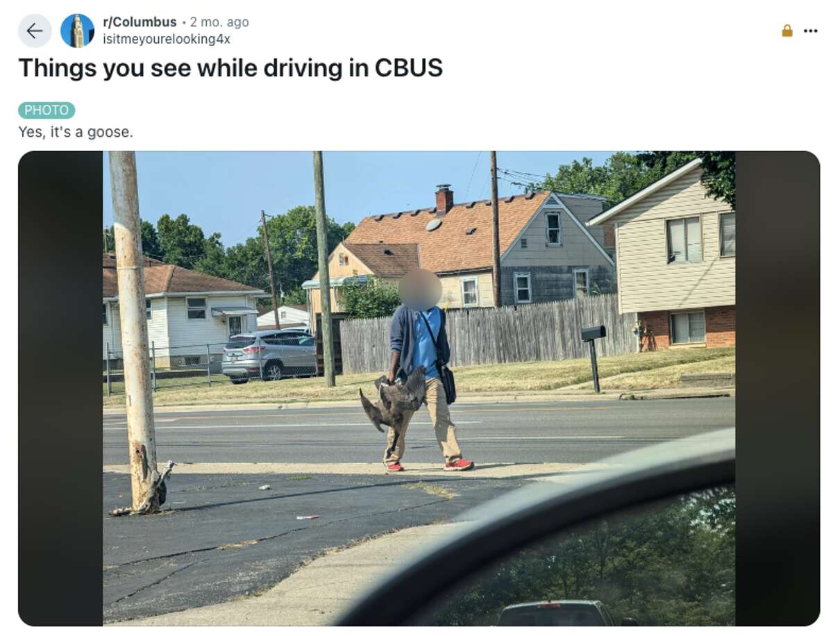 Story behind man holding geese amid pet-eating claims in Ohio revealed