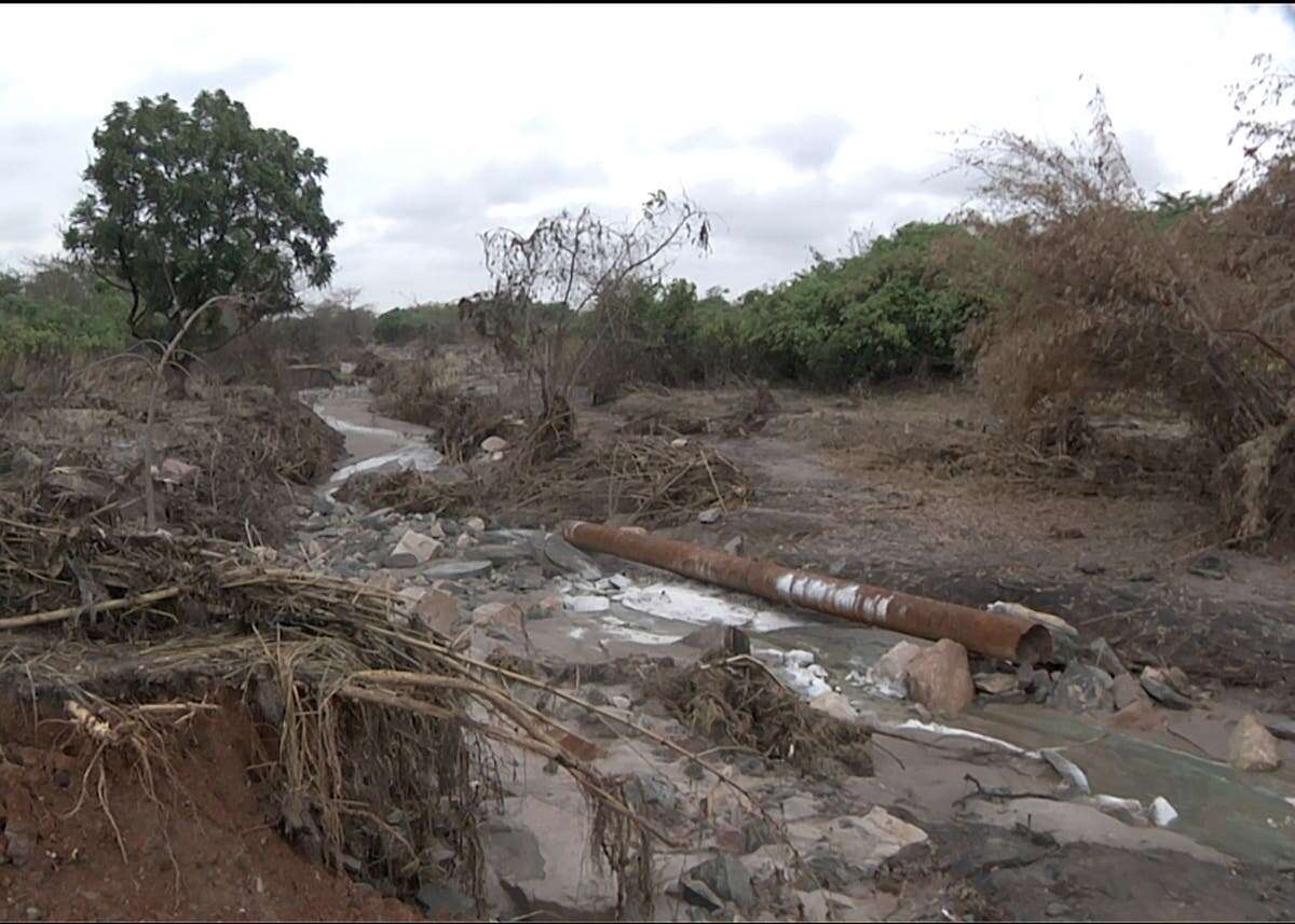 River ‘dies’ after massive acidic waste spill at Chinese-owned mine