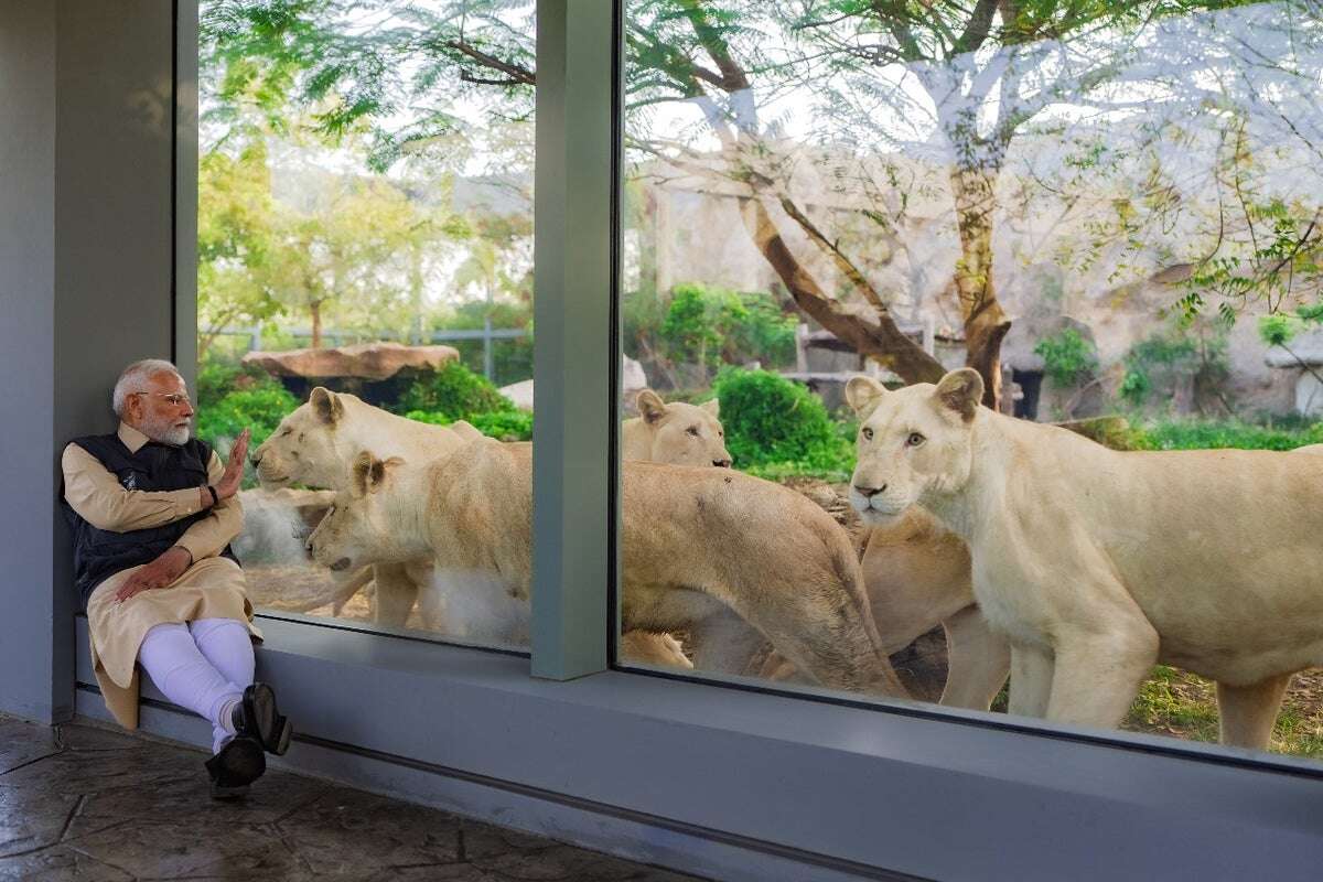 Modi feeds lion cubs as he inaugurates zoo run by Ambani family