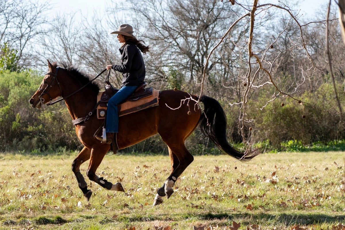 ‘ICE Barbie’ Kristie Noem dons cowboy gear on visit to Argentina