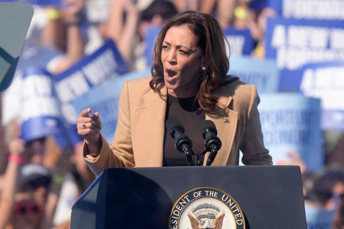 ‘Nostradamus of polling’ says Kamala Harris will win presidential race