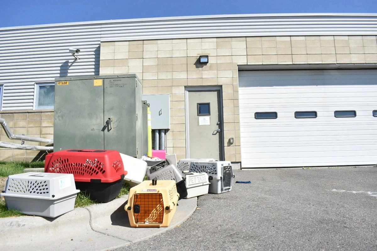 Animal shelter staff hospitalised after meth burn mishap