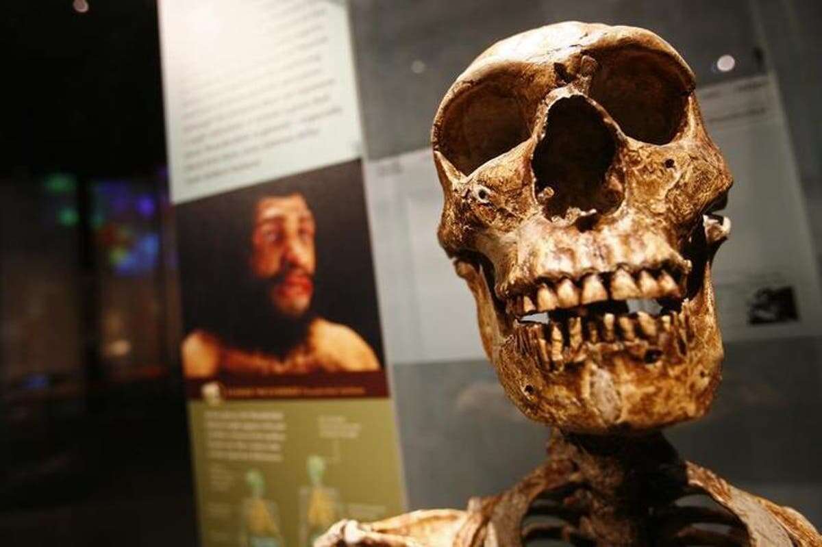 New study reveals were the first humans went after leaving Africa