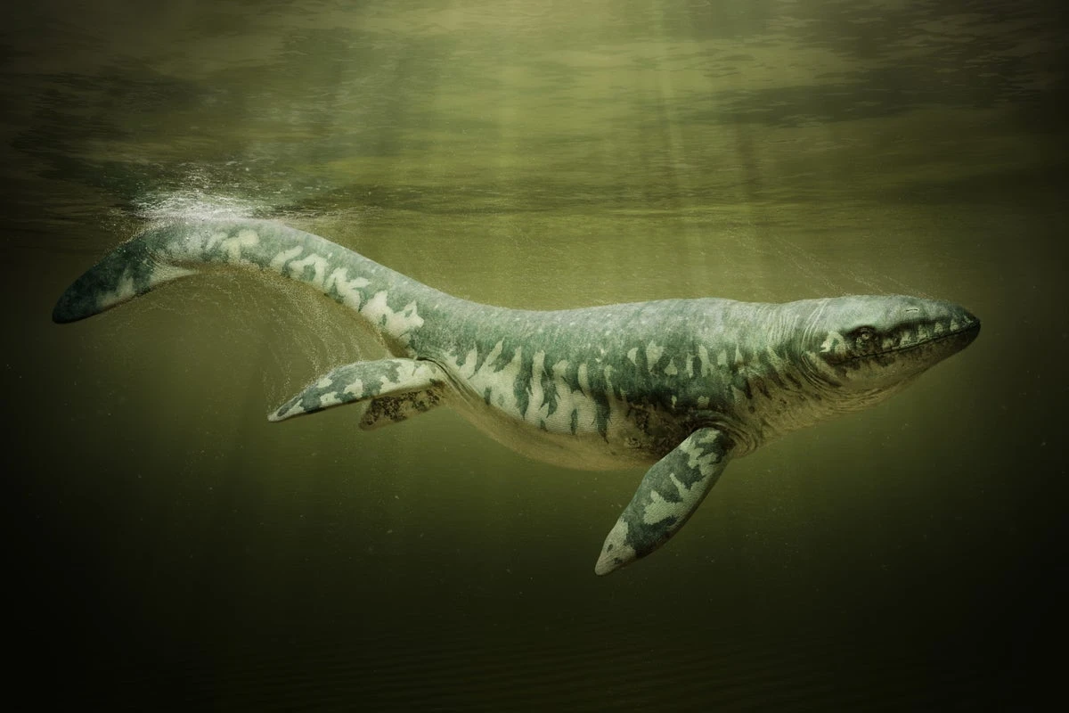 Giant ‘sea monster’ fossil unearthed in Mississippi mud