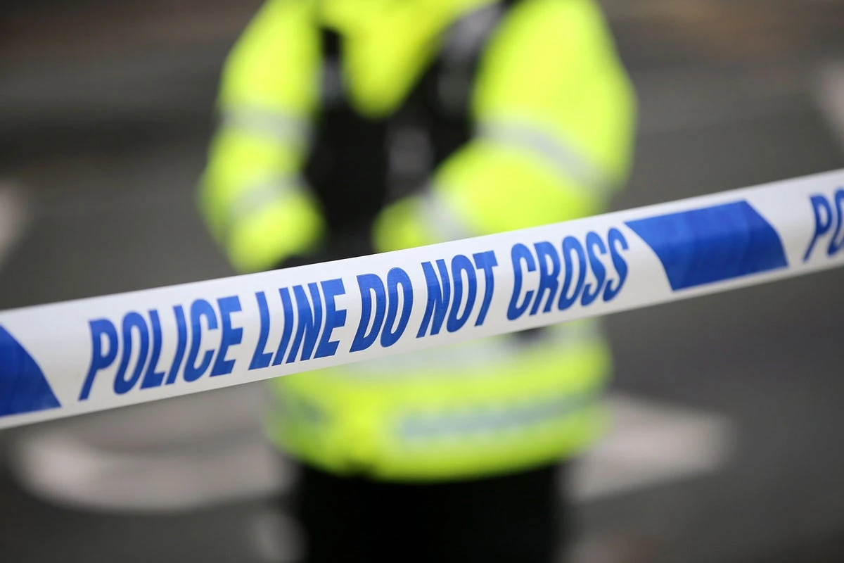 Boy dies after being hit by a falling tree in Stafford