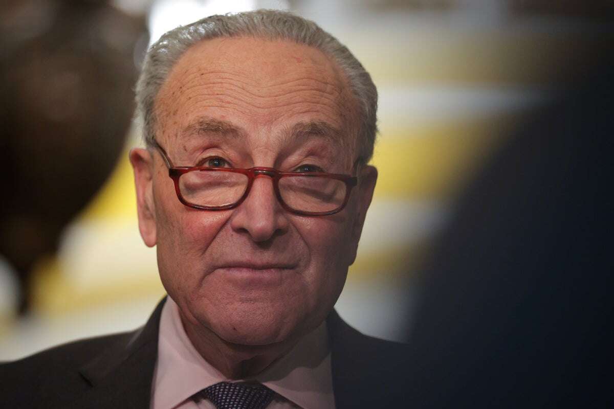 Schumer reportedly hoped GOP would dump ‘turd’ Trump after 2020