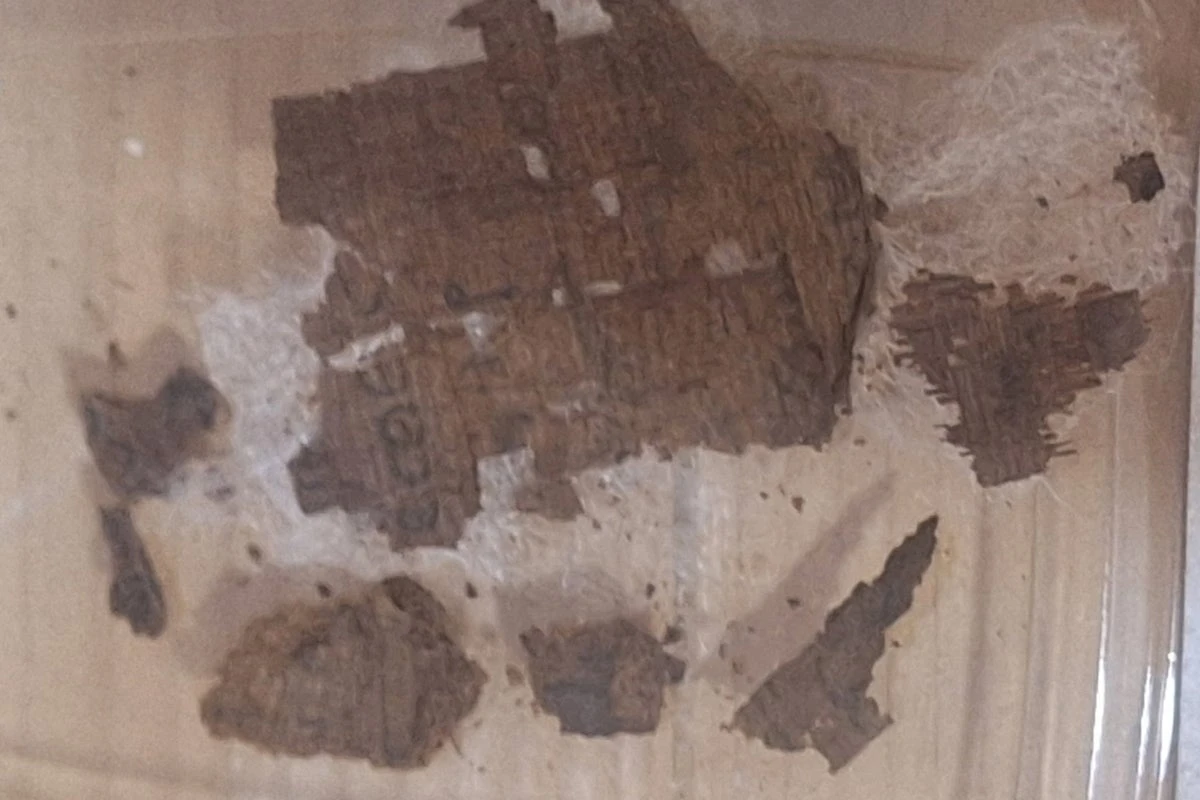 Archaeologists find copy of Homer’s Iliad in ancient Egyptian mummy
