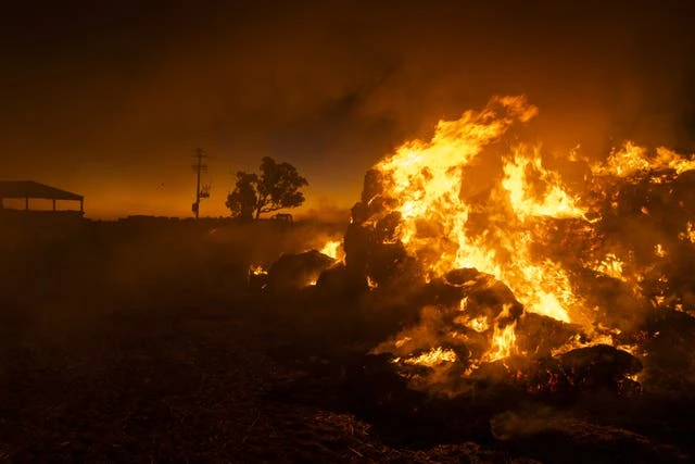 The farmers burning their own crops to fight a mouse plague