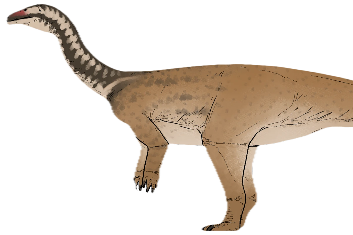 Fossil find bridges key gap in evolution of plant-eating dinosaurs
