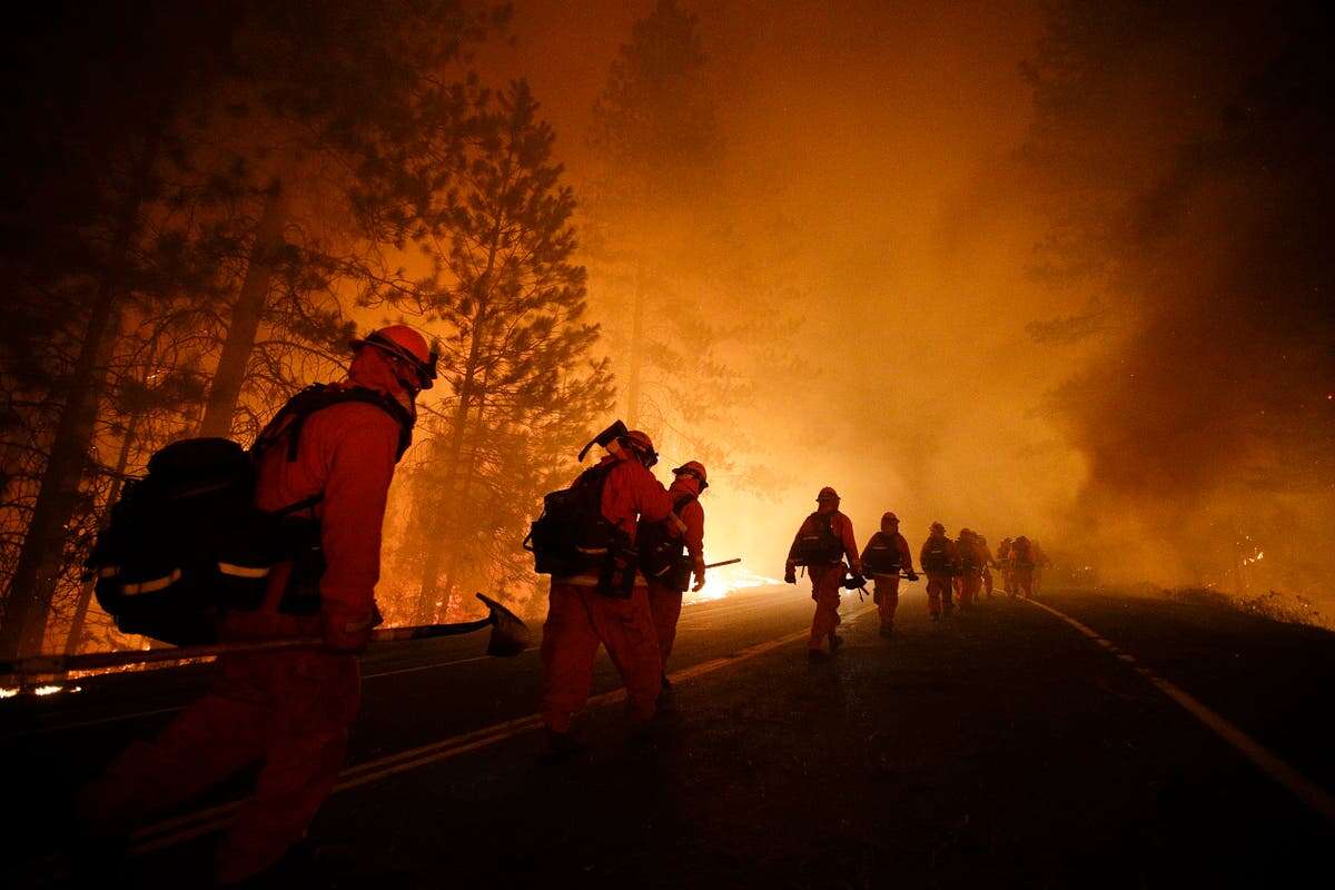 The prison inmates fighting LA wildfires for just $1 an hour