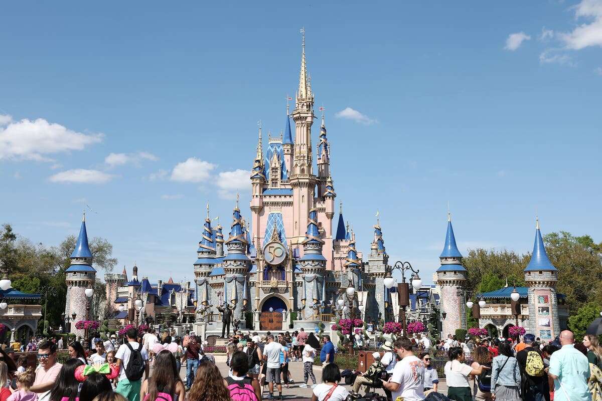 Average trip to Disney World puts parents $2k in debt, study finds