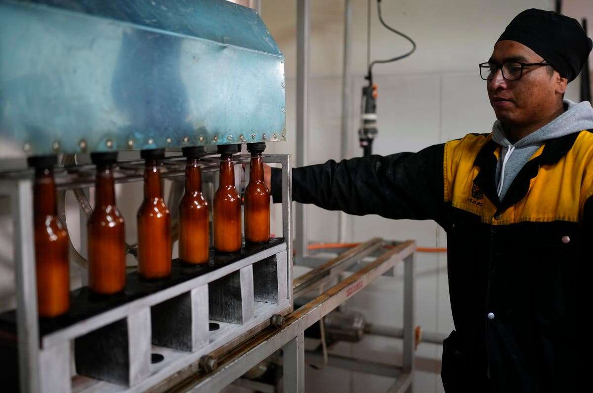 Beer made from the cocaine plant is creating a buzz in Bolivia