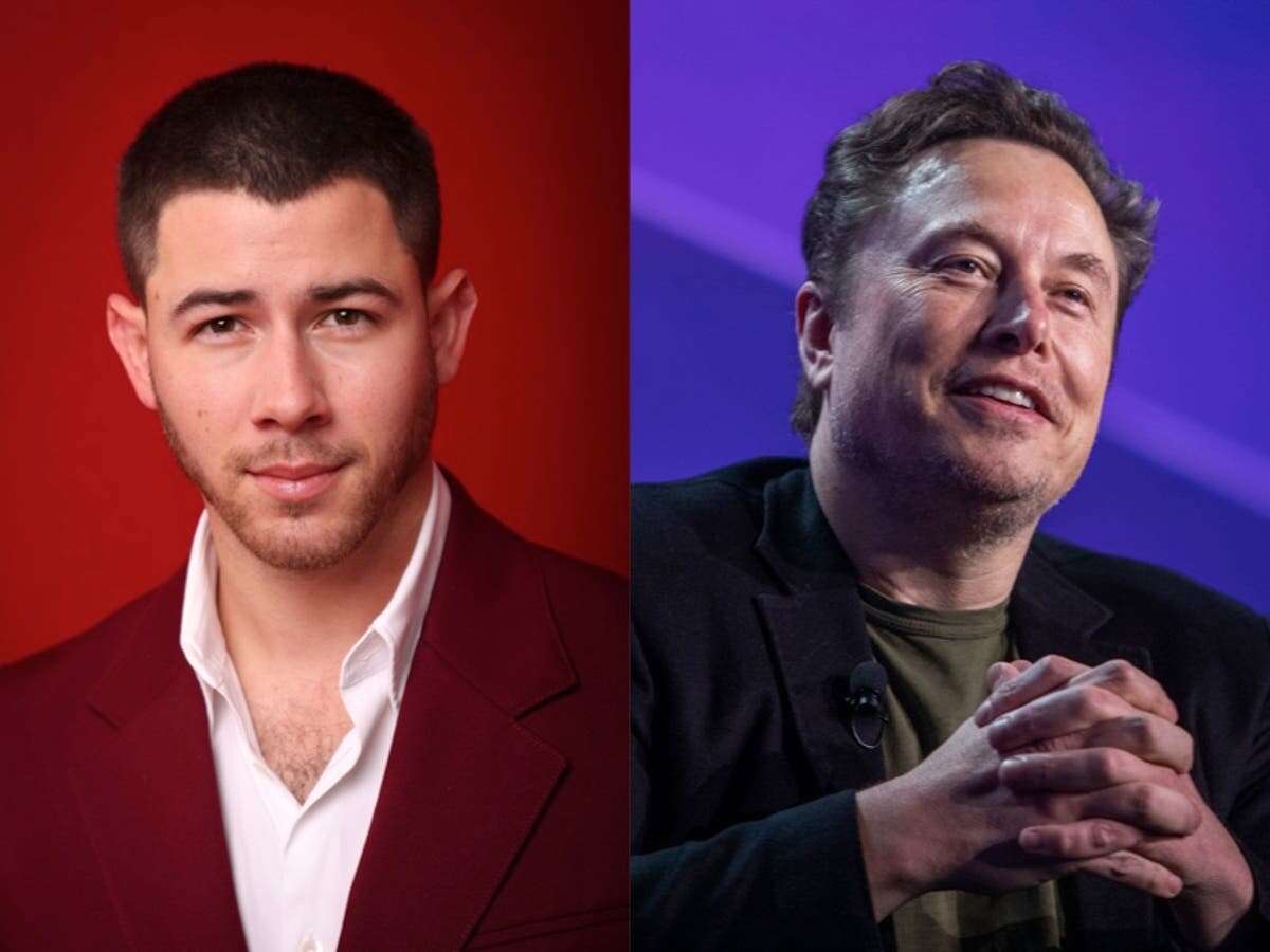 Jonas Brother fans lose it as Nick appears to support Elon Musk