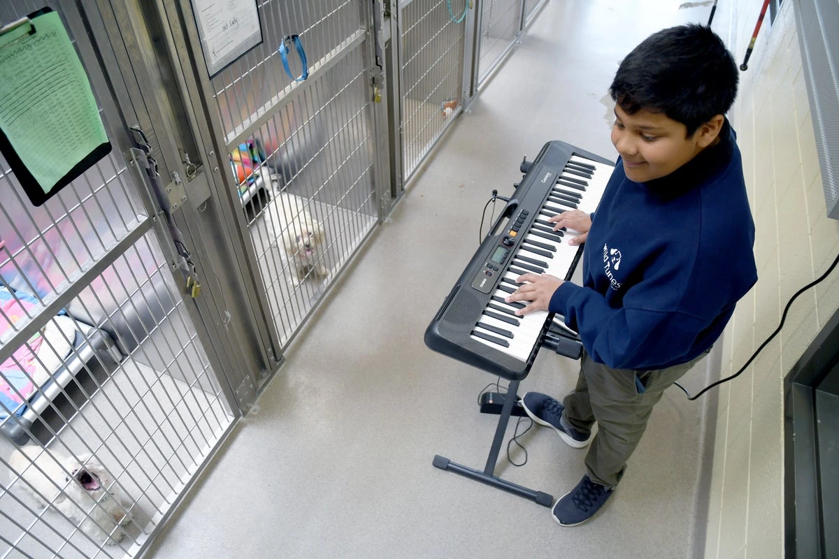 12-year-old boy plays music to soothe animals living in shelters