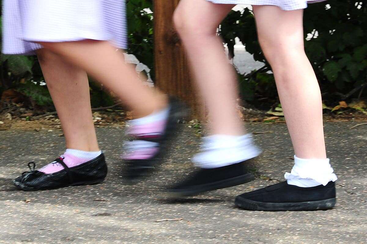 Light exercise ‘could reverse high cholesterol caused by sedentary childhood’