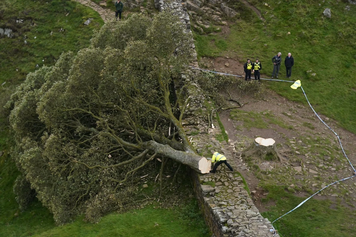 Sycamore Gap: How a ‘bully’ and a ‘silly man’ shamed their communities