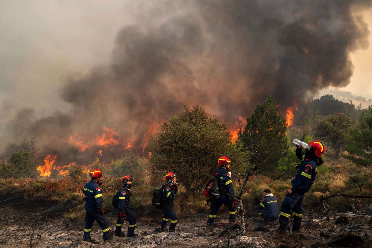 Deadly Greece wildfire believed to have been by beekeeper