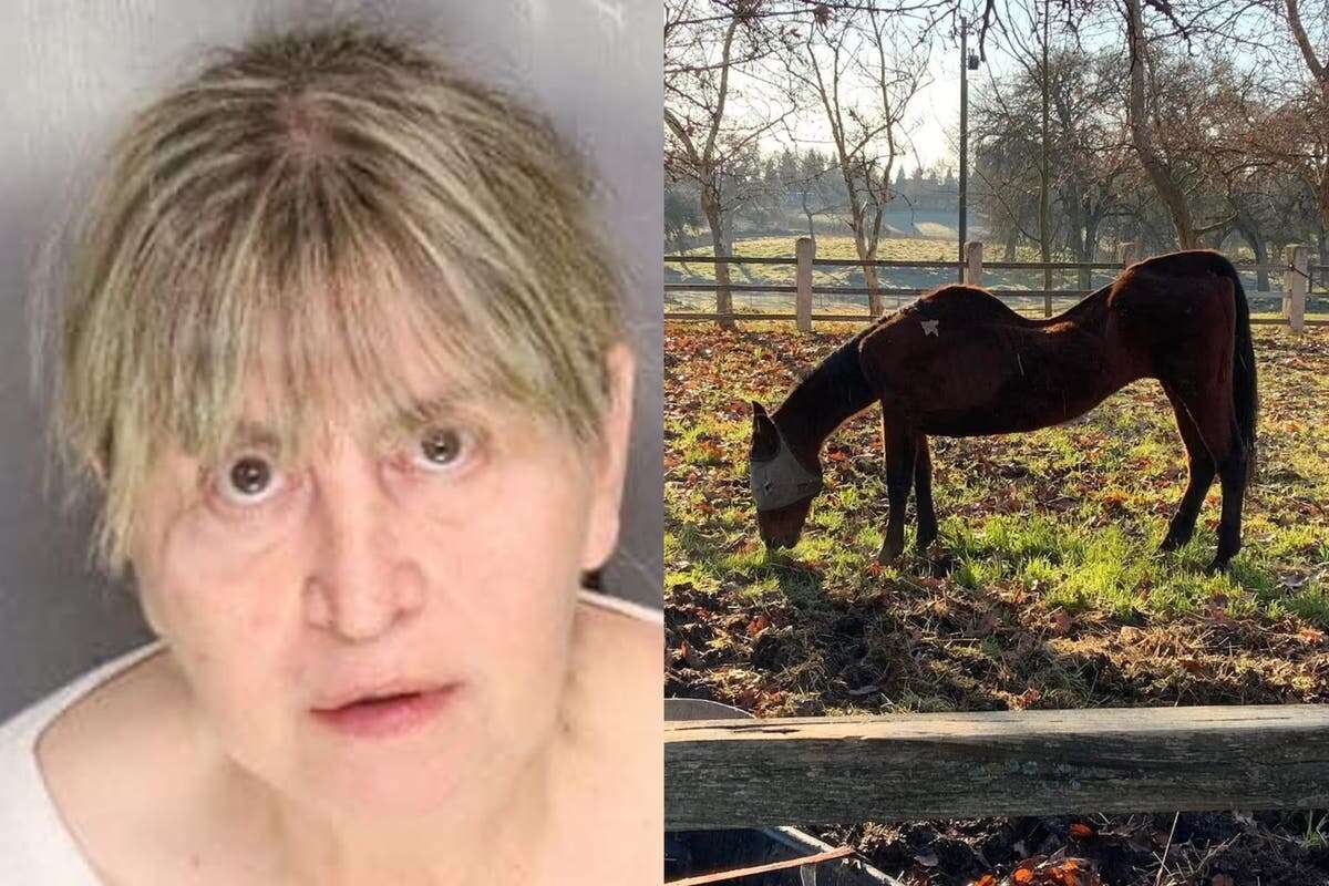 Woman arrested after 27 horses found dead across several properties