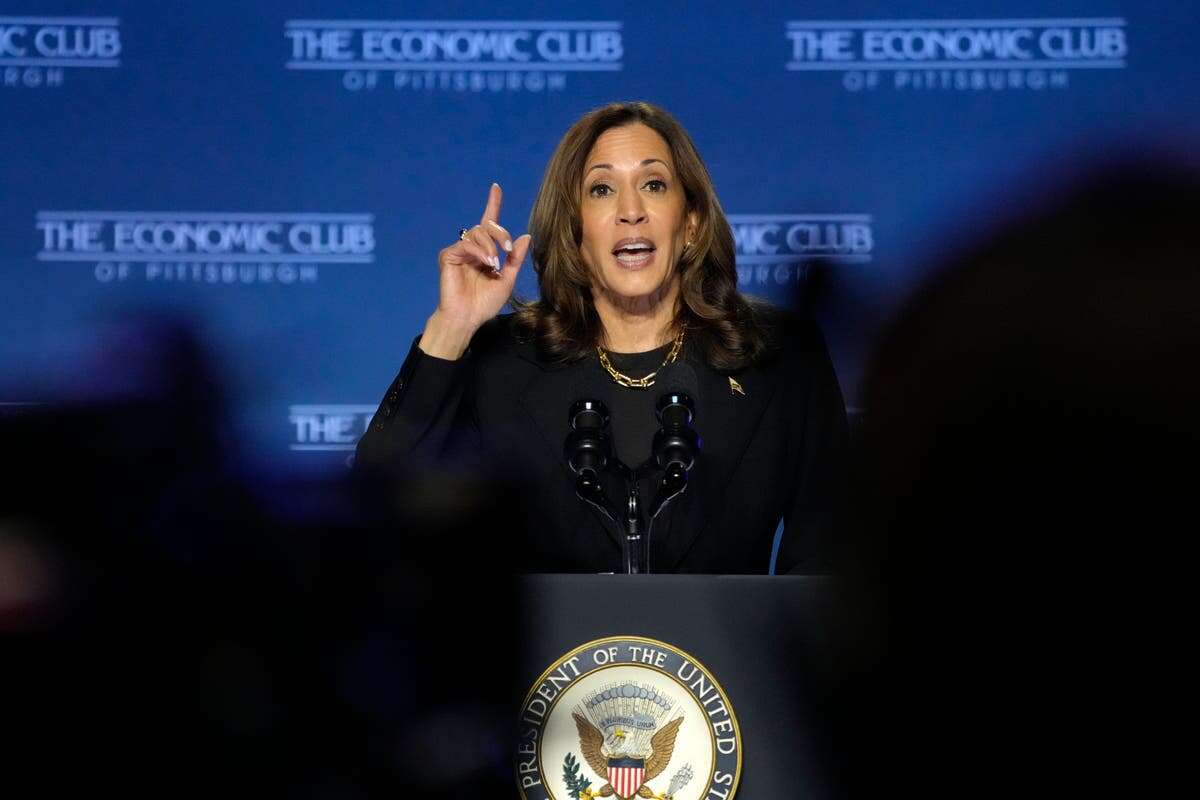 Harris answers critics with economic plan aimed at middle class