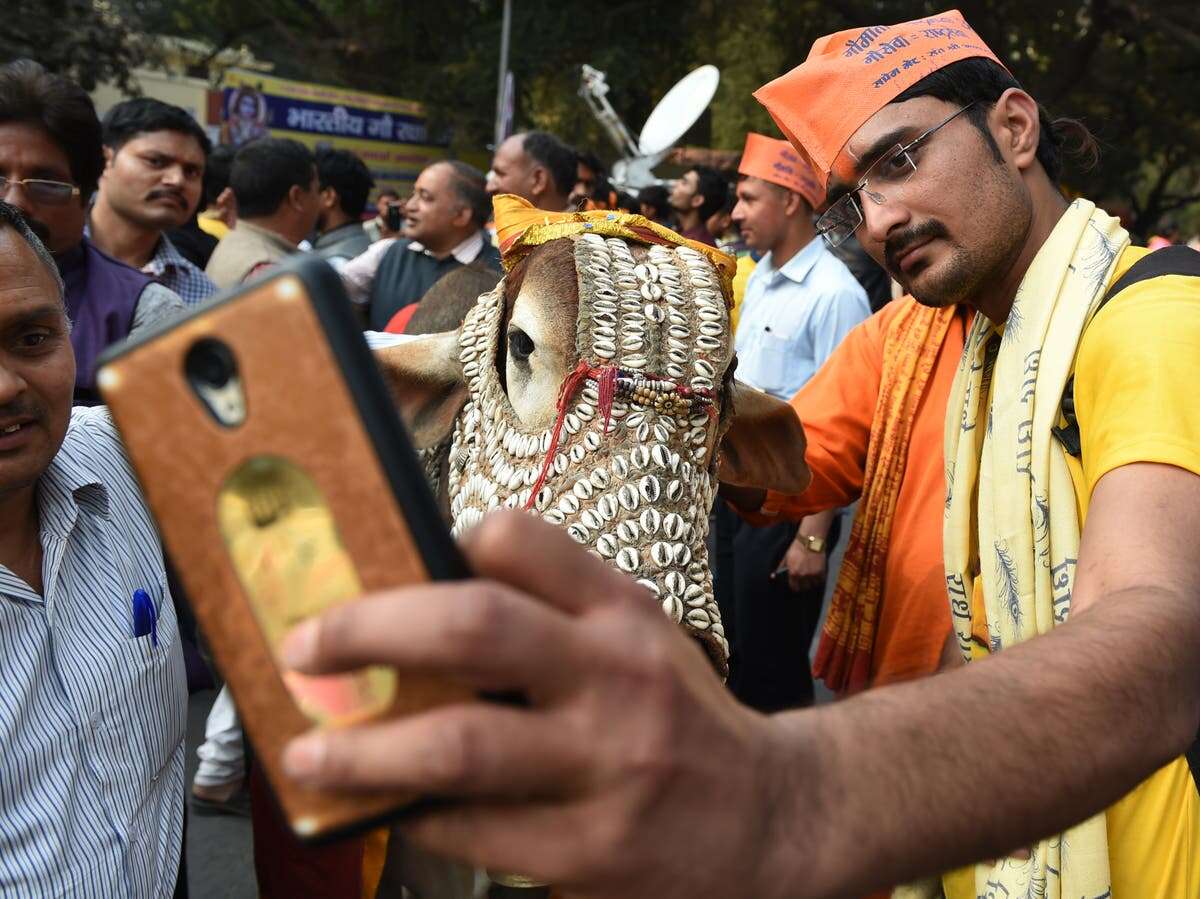 Woman dies of panic attack during beef raid in India