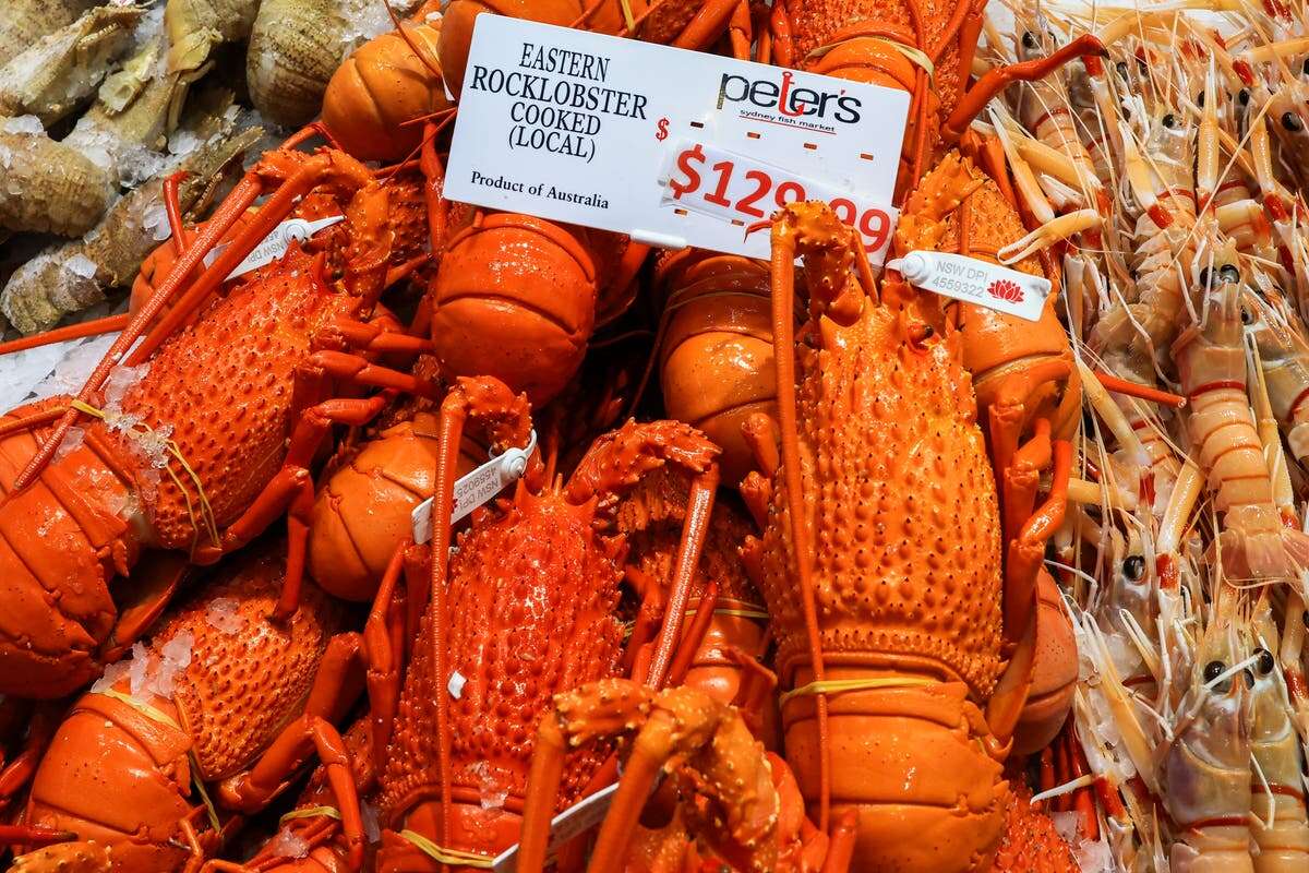 Lobsters back on the menu for Australian exports to China