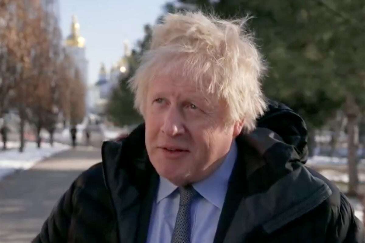 Johnson claims Ukraine set to hand earth minerals to US in peace deal