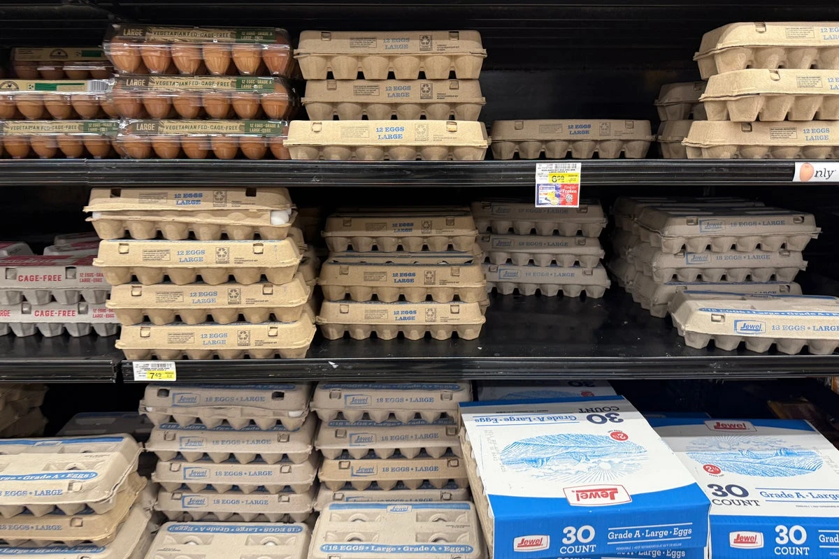 Egg prices drop as demand falls among customers unwilling to shell out