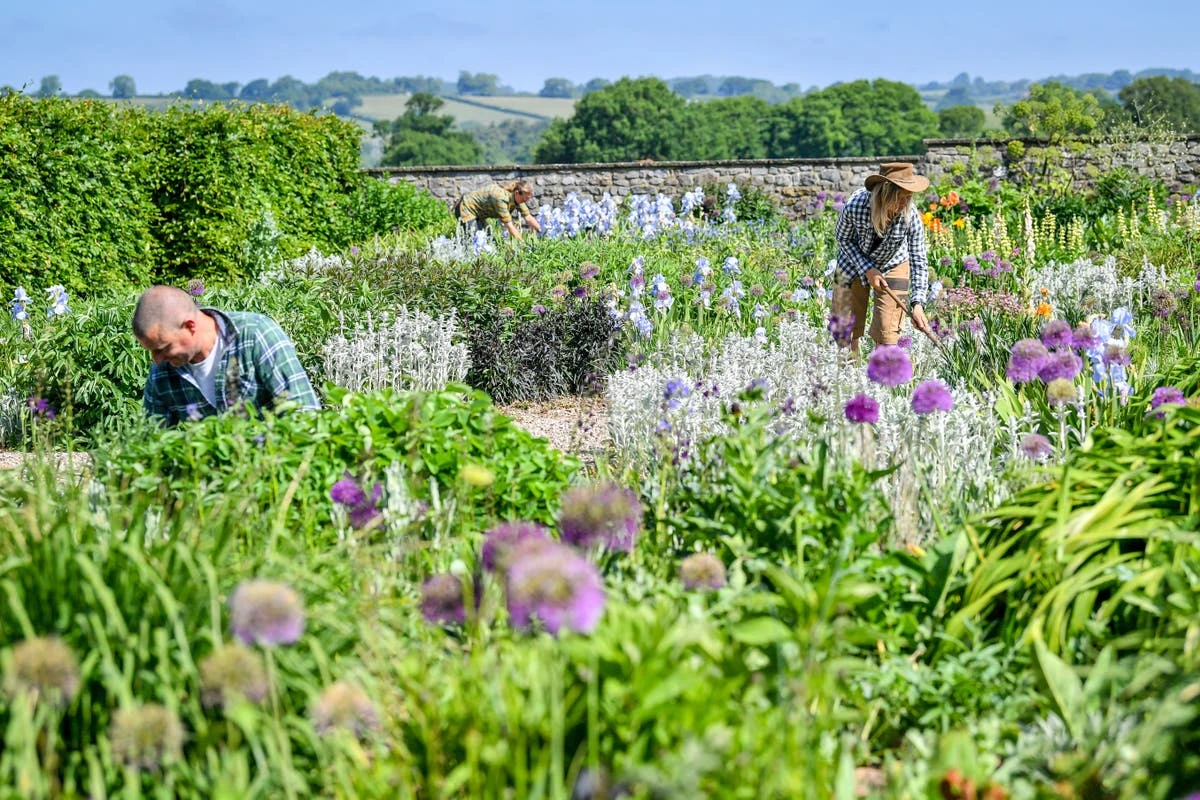 Gardening and moderate physical activities ‘may cut depression risk by 23%’