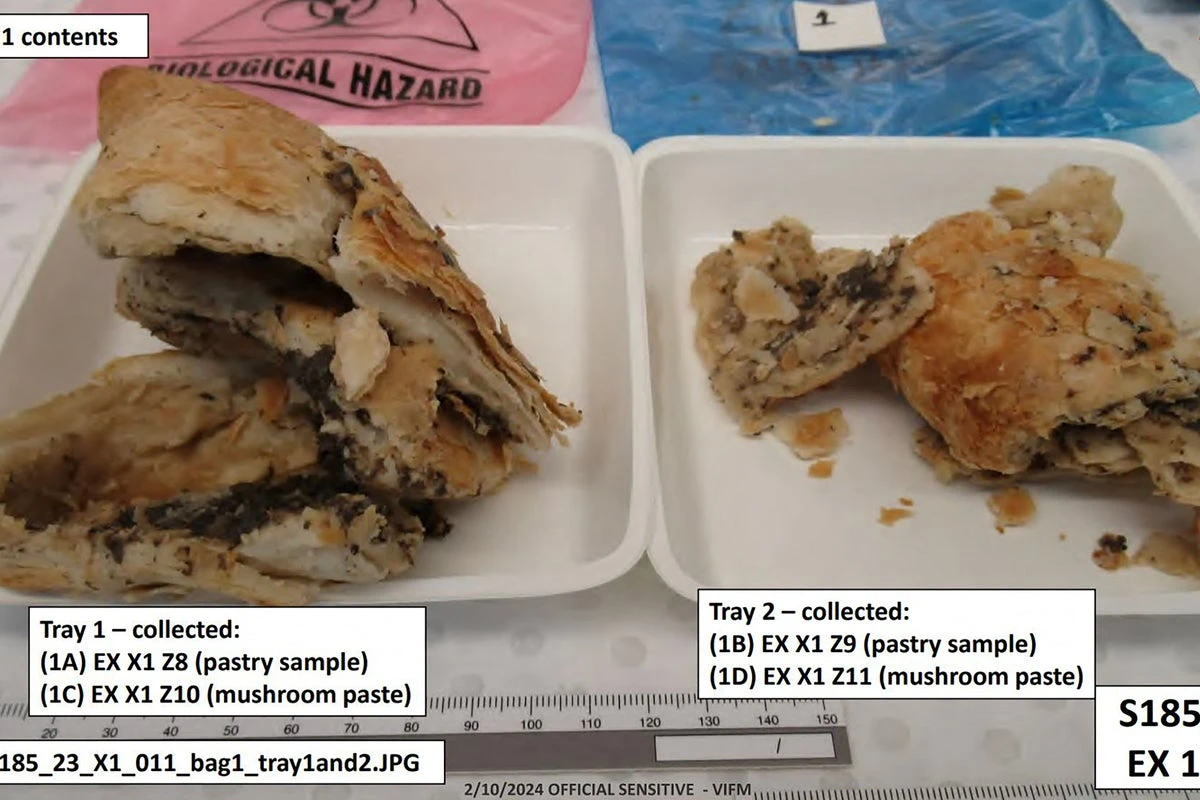 Photos of deadly beef wellington cooked by Erin Patterson released