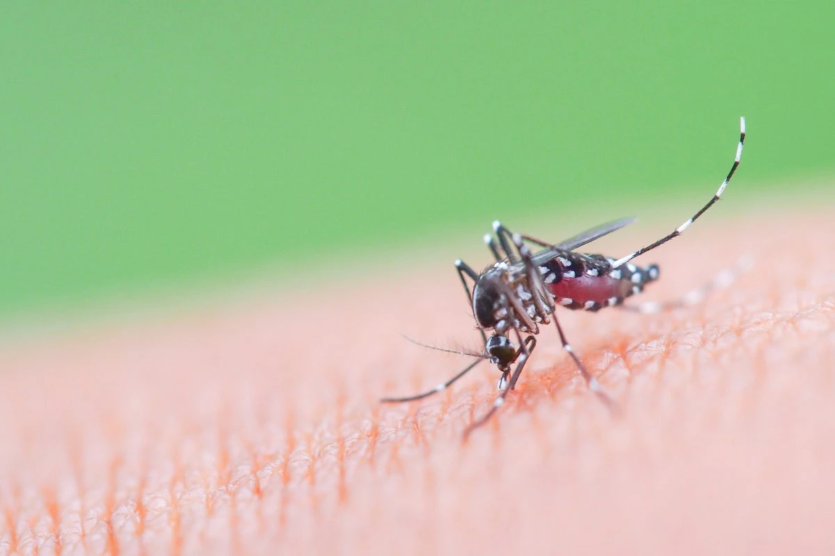 US ‘considering China travel advisory after outbreak of deadly virus