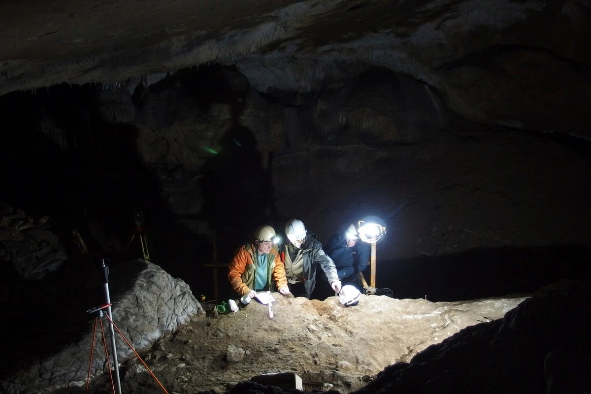 Scientists pinpoint when humans started to use whale bone tools