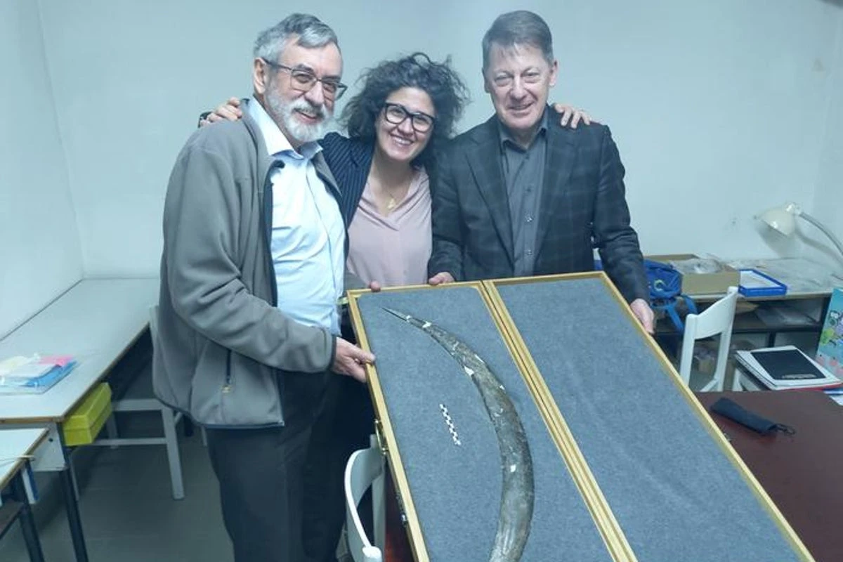 Archaeologists find what could be world’s oldest boomerang in Europe