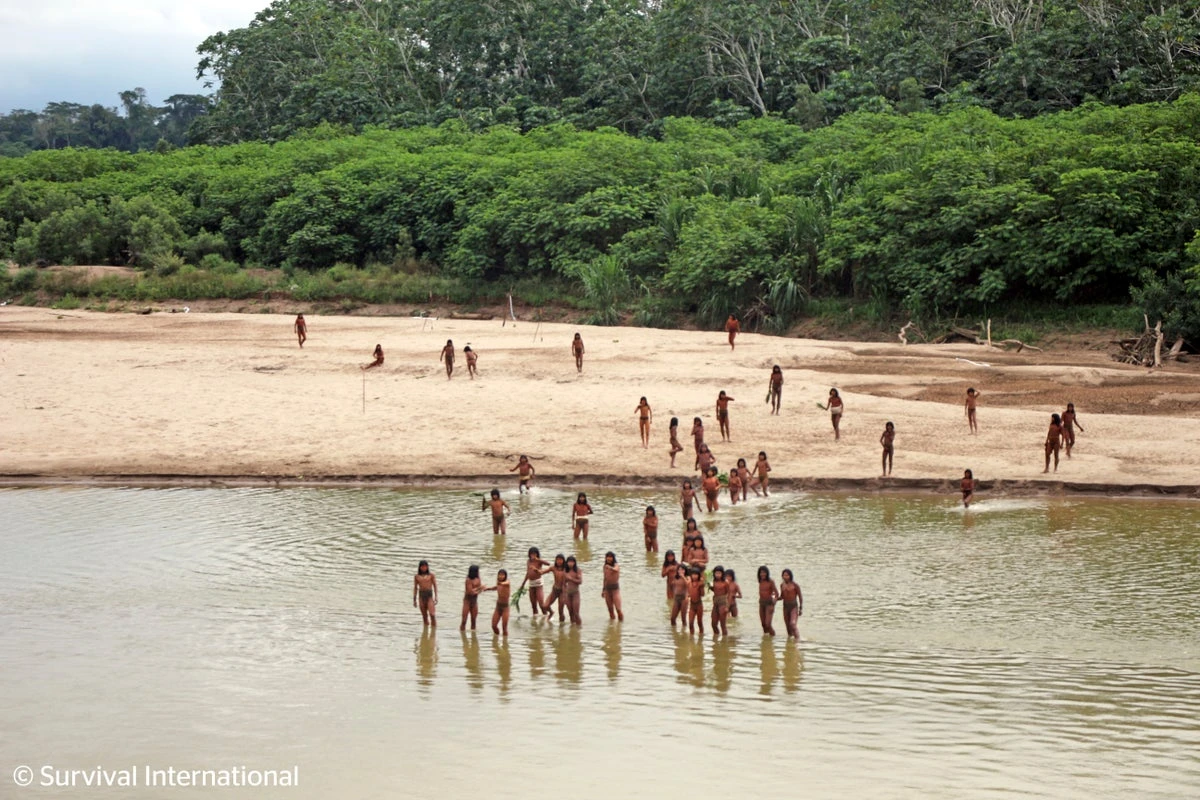Uncontacted Amazon tribe enters another village: ‘They are in danger’