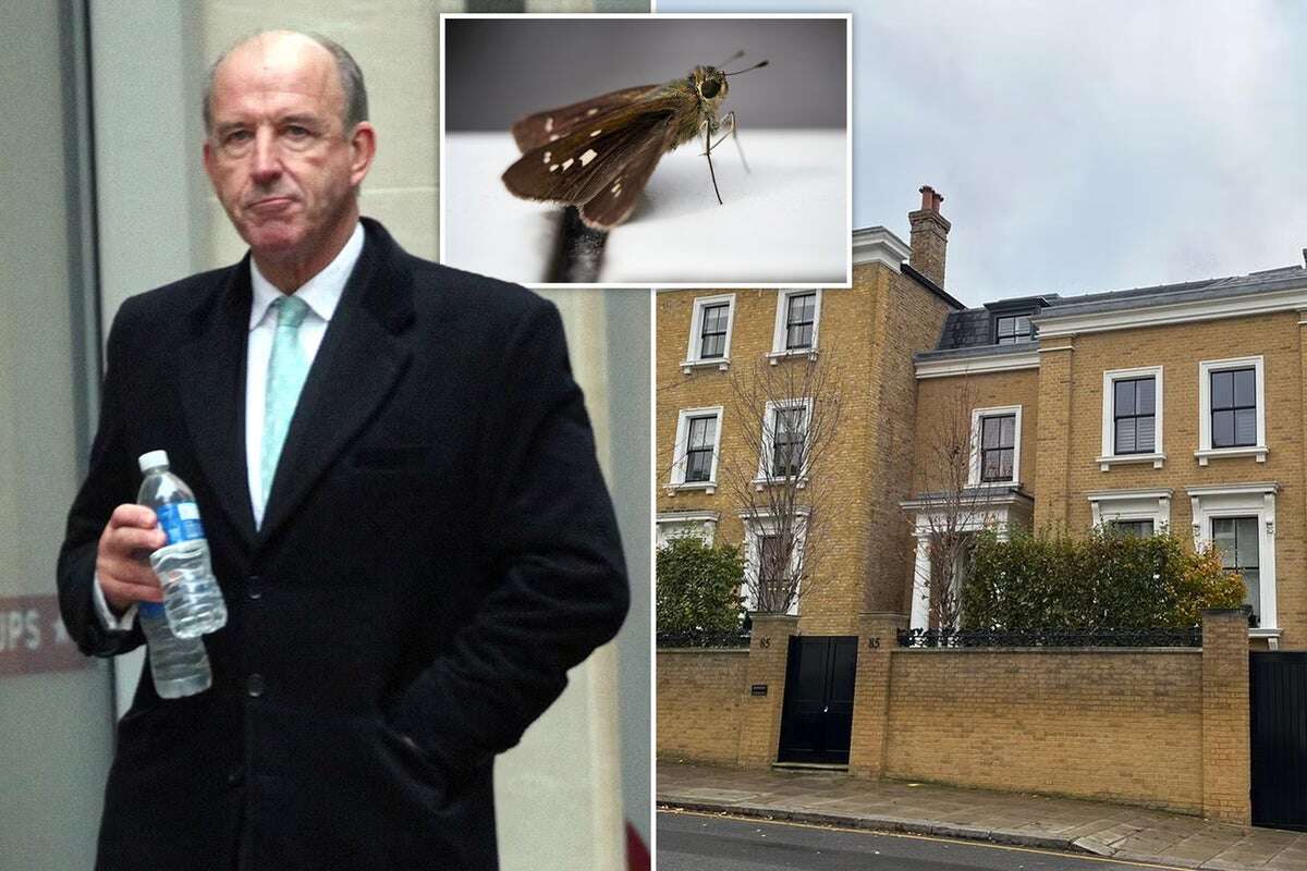 Seller of moth-hit mansion handed staggering court bill of over £36m