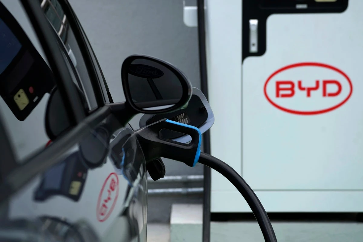 This vegetable could help make EV batteries cheaper and longer-lasting