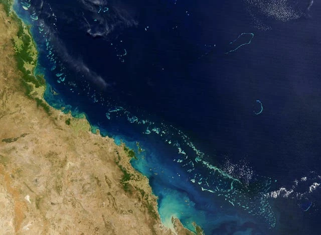 Great Barrier Reef should be listed as ‘in danger,’ says UNESCO