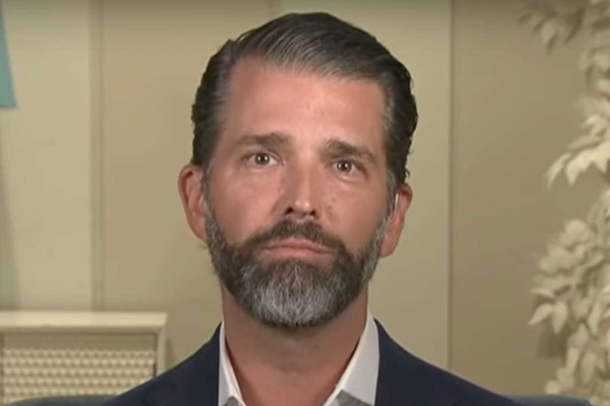 Don Jr boasts dad knows McDonald’s menu better than Harris